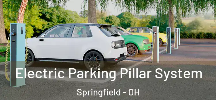 Electric Parking Pillar System Springfield - OH