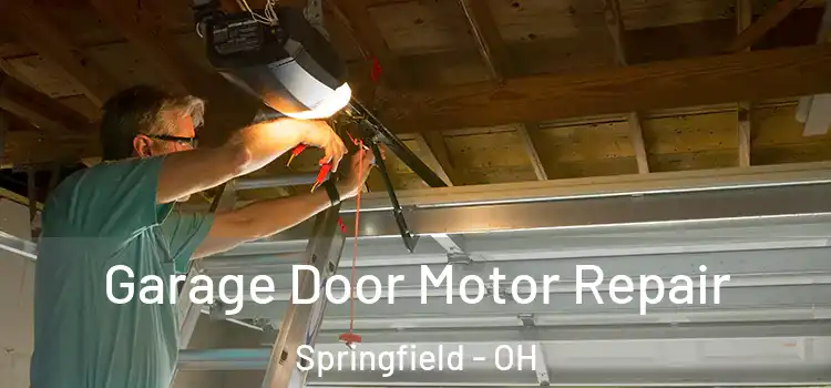  Garage Door Motor Repair Springfield - OH
