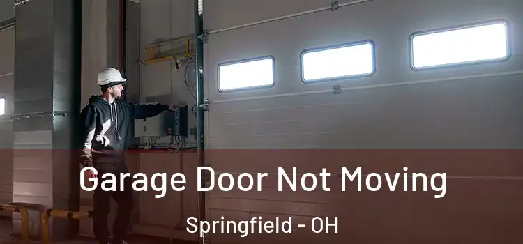  Garage Door Not Moving Springfield - OH