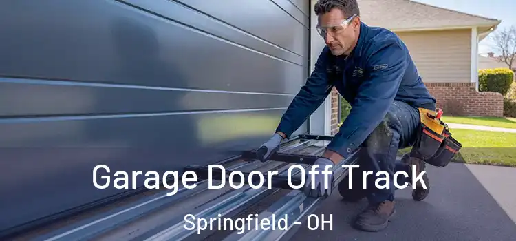  Garage Door Off Track Springfield - OH
