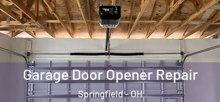  Garage Door Opener Repair Springfield - OH