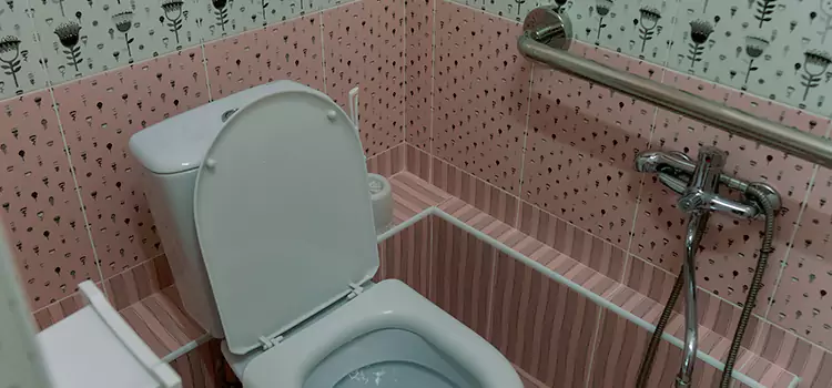 Meeting Diverse Needs With Accessible Restroom Solutions in Springfield, OH