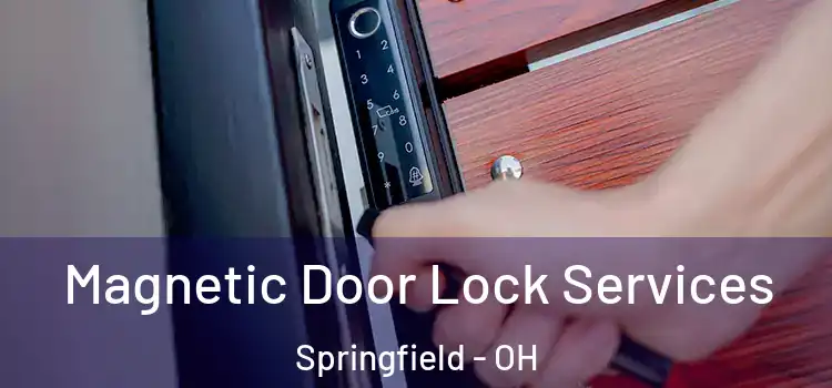 Magnetic Door Lock Services Springfield - OH