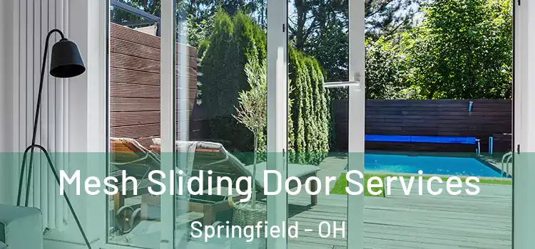 Mesh Sliding Door Services Springfield - OH